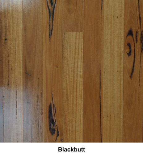 Blackbutt Feature Grade