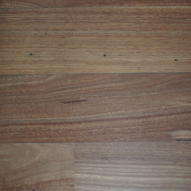 Blue Gum Prestige Grade