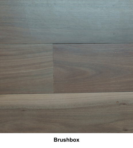Brushbox