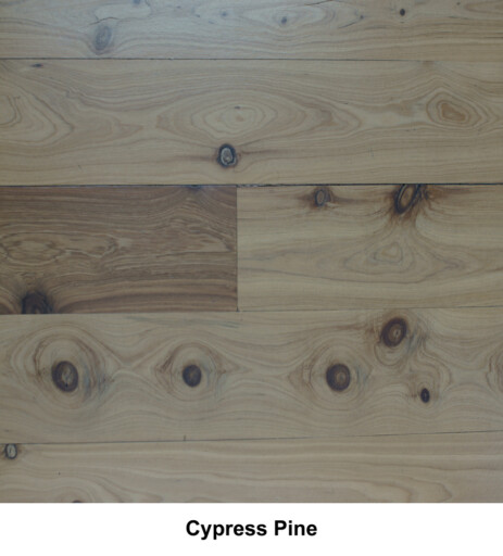 Cypress Pine