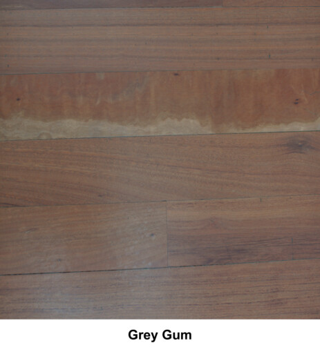 Grey Gum