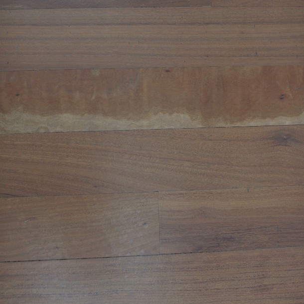 Grey Gum Select Grade