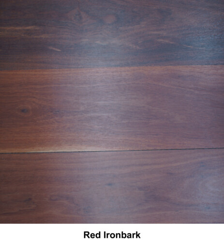 Red Ironbark