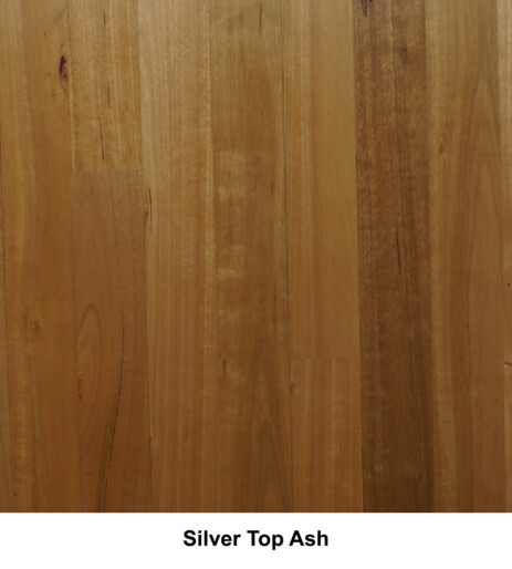 Silver Top Ash
