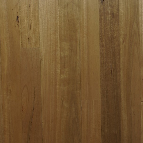 Silvertop Ash Standard Grade