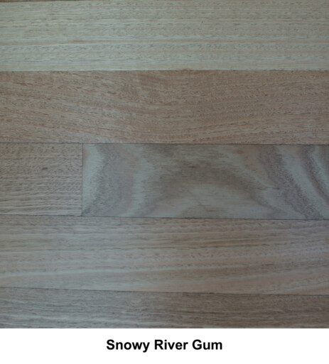 Snowy River Gum