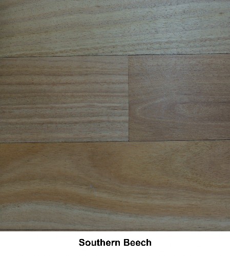 Southern Beech Select Grade