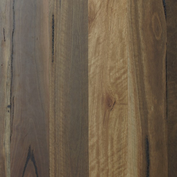 Spotted Gum Feature Grade