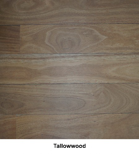 Tallowwood